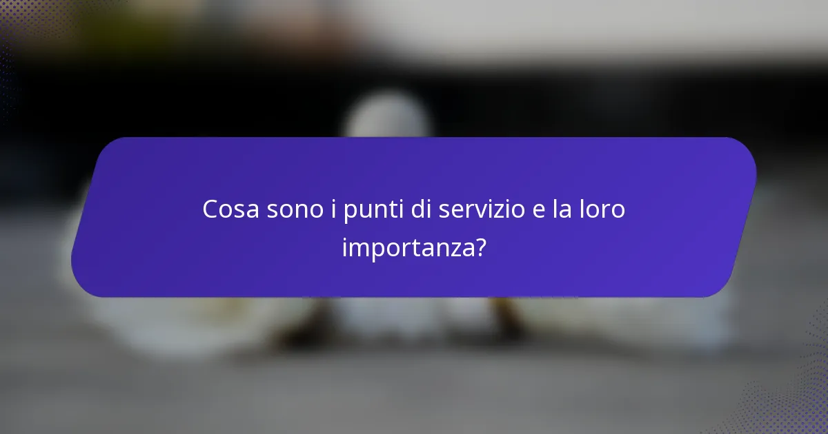 Cosa sono i punti di servizio e la loro importanza?